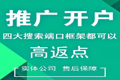 深度解析SEM推广代运营的成功案例及策略